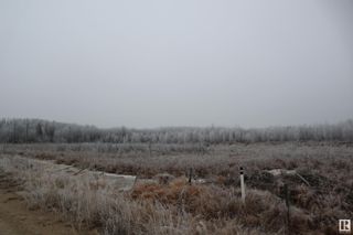 Photo 25: 49252 Rge Rd 42: Rural Leduc County Vacant Lot/Land for sale : MLS®# E4369568