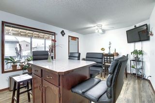 Photo 11: 47 Appleburn Close SE in Calgary: Applewood Park Detached for sale : MLS®# A1049300