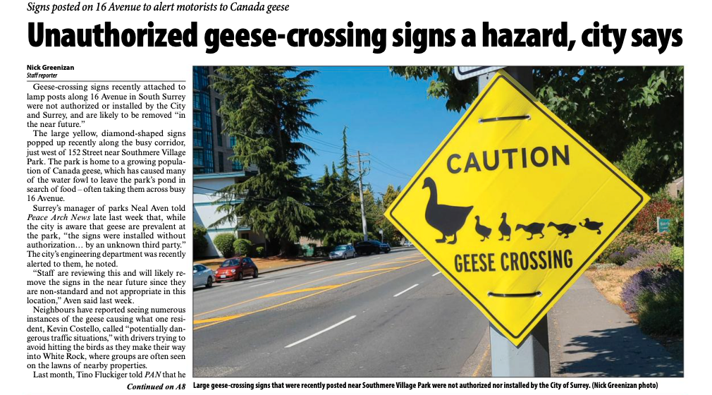 Unauthorized geese-crossing signs a hazard, city says - Peach Arch News