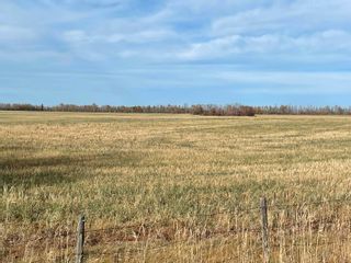 Photo 7: 1210 Hwy 39: Rural Leduc County Rural Land/Vacant Lot for sale : MLS®# E4266910