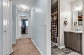 Photo 17: 52 Templeby Way NE in Calgary: Temple Detached for sale : MLS®# A2053536