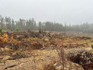 Photo 4: Lt B Whiting Way in Nanaimo: Na Cedar Unimproved Land for sale : MLS®# 918797