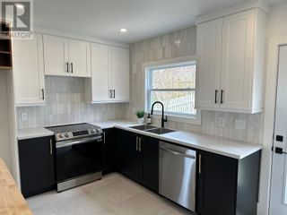 Photo 17: 380 Hamilton Avenue Extension in St. John's: House for sale : MLS®# 1258598