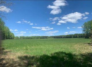 Photo 9: NW-3-45-7-W5   West of Cowboy Trail Hwy #22 in Rural Wetaskiwin No. 10, County of: Rural Wetaskiwin County Residential Land for sale : MLS®# A1230343