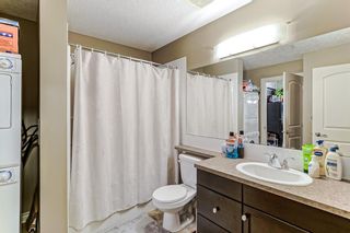 Photo 23: 240 30 Royal Oak Plaza NW in Calgary: Royal Oak Apartment for sale : MLS®# A1258822