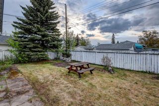 Photo 30: 4 Van Horne Crescent NE in Calgary: Vista Heights Detached for sale : MLS®# A2133720