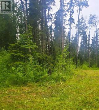 Photo 5: 991 Fox Drive in Sandy Lake: Vacant Land for sale : MLS®# A2065960