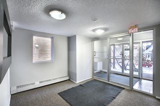 Photo 27: 402 534 20 Avenue SW in Calgary: Cliff Bungalow Apartment for sale : MLS®# A1065018