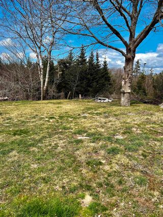 Photo 21: 4162 Highway 3 in Doctors Cove: 407-Shelburne County Residential for sale (South Shore)  : MLS®# 202307721