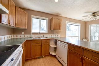 Photo 19: 172 ERIN MEADOW Way SE in Calgary: Erin Woods Detached for sale : MLS®# A1028932