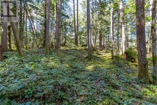 Photo 22: Lot 12 Mountain Rd in Duncan: Vacant Land for sale : MLS®# 959360