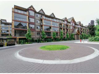 Main Photo: 125 8288 207A Street in Langley: Willoughby Heights Condo for sale : MLS®# F1414802