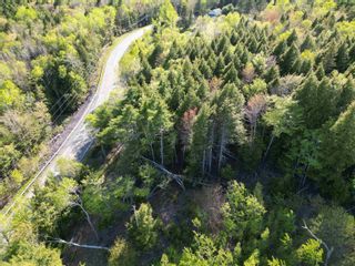 Photo 15: 6.37 acres Highway 4 in Pine Tree: 108-Rural Pictou County Vacant Land for sale (Northern Region)  : MLS®# 202303532