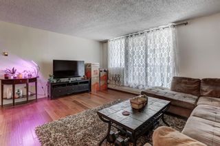 Photo 15: 4E 133 25 Avenue SW in Calgary: Mission Apartment for sale : MLS®# A2085043