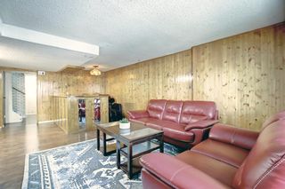 Photo 29: 19 Falchurch Road NE in Calgary: Falconridge Semi Detached (Half Duplex) for sale : MLS®# A2056585