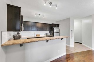 Photo 12: 304 117 19 Avenue NE in Calgary: Tuxedo Park Apartment for sale : MLS®# A2130812