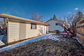 Photo 47: 3224 108 Avenue SW in Calgary: Cedarbrae Detached for sale : MLS®# A2124475