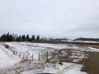Photo 7: Hwy 28 north of Twp 564: Rural Sturgeon County Rural Land/Vacant Lot for sale : MLS®# E4272961