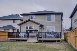 Photo 11: 795 Auburn Bay Heights SE in Calgary: Auburn Bay Detached for sale : MLS®# A2122912