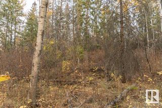 Photo 30: 6 51112 RGE RD 260: Rural Parkland County Vacant Lot/Land for sale : MLS®# E4316779