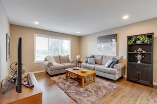 Photo 22: 291 Reunion Green NW: Airdrie Detached for sale : MLS®# A2141503