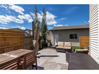 Photo 36: 118 SILVERADO RANGE View SW in Calgary: Silverado House for sale : MLS®# C4074031