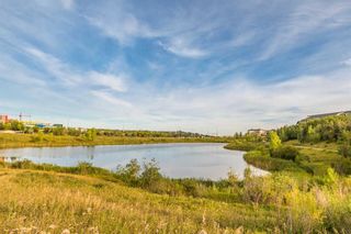 Photo 47: 229 Ascot Circle SW in Calgary: Aspen Woods Row/Townhouse for sale : MLS®# A2059461