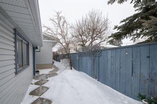 Photo 28: 124 Rundlehill Drive NE in Calgary: Rundle Detached for sale : MLS®# A2031621