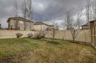 Photo 44: 200 EVERBROOK Drive SW in Calgary: Evergreen Detached for sale : MLS®# A1102109