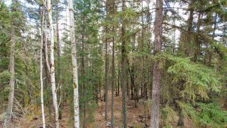 Photo 10: LOT 2 CRANBROOK HILL Road in Prince George: Cranbrook Hill Land for sale in "CRANBROOK HILL" (PG City West (Zone 71))  : MLS®# R2447709