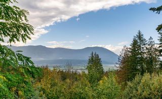 Photo 5: 1701 9 Street, SE in Salmon Arm: House for sale : MLS®# 10263723