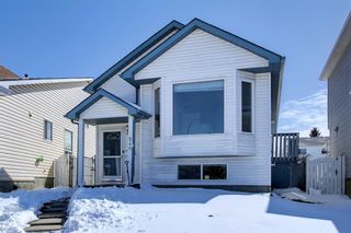 Photo 35: 240 erin meadow Green in Calgary: Erin Woods Detached for sale : MLS®# A2003999