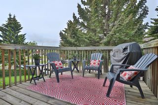 Photo 12: 81 Edgeford Way NW in Calgary: Edgemont Semi Detached for sale : MLS®# A1236767