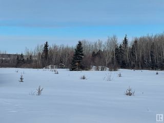 Photo 17: TWP RD 613A RGE RD 234: Rural Westlock County Rural Land/Vacant Lot for sale : MLS®# E4276161