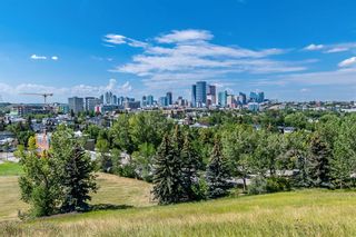 Photo 50: 1309 Colgrove Avenue NE in Calgary: Renfrew Detached for sale : MLS®# A1251138
