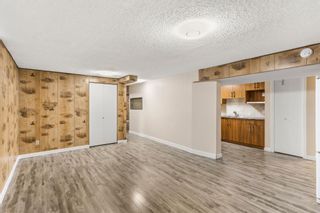 Photo 22: 3035 Dover Ridge Drive SE in Calgary: Dover Detached for sale : MLS®# A1215610