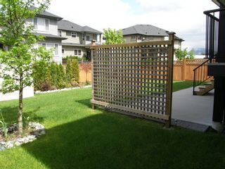 Photo 7: 12473 201ST STREET in MCIVOR MEADOWS: Home for sale