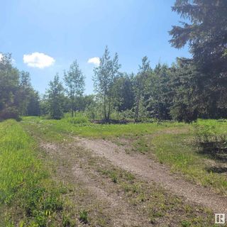 Photo 5: 53027 RGE RD 215: Rural Strathcona County Rural Land/Vacant Lot for sale : MLS®# E4293791