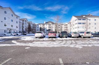 Photo 1: 2408 6224 17 Avenue SE in Calgary: Red Carpet Apartment for sale : MLS®# A2032660