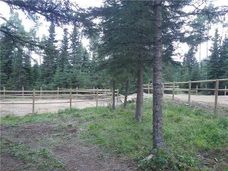 Photo 7: 2 miles west of Dartique Hall in COCHRANE: Rural Rocky View MD Rural Land for sale : MLS®# C3545361