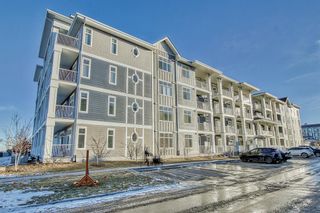 Main Photo: 312 500 Auburn Meadows Common SE in Calgary: Auburn Bay Apartment for sale : MLS®# A2018067