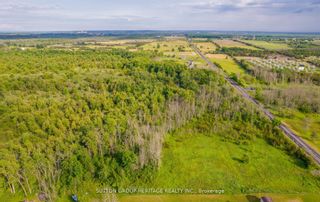 Photo 16: 2494 County Road 5 Road in Prince Edward County: Sophiasburgh Property for sale : MLS®# X7215730
