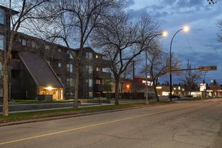 Photo 39: 405 8403 FAIRMOUNT Drive SE in Calgary: Acadia Apartment for sale : MLS®# A2054007