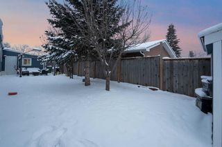 Photo 32: 41 Spring Dale Circle SE: Airdrie Detached for sale : MLS®# A2112782
