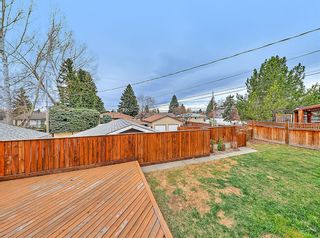 Photo 22: 7915 Huntwick Hill NE in Calgary: Huntington Hills Detached for sale : MLS®# A1210352