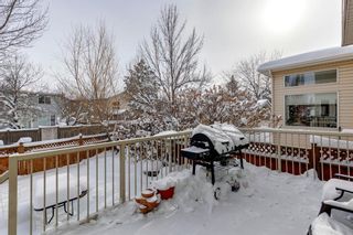 Photo 44: 24 Chaparral Common SE in Calgary: Chaparral Detached for sale : MLS®# A2027515