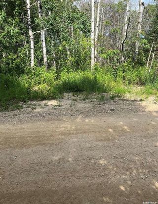 Photo 4: 10 Sunset Drive in Big Shell: Lot/Land for sale : MLS®# SK955233