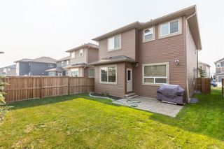 Photo 42: 75 Nolancliff Crescent NW in Calgary: Nolan Hill Detached for sale : MLS®# A1134231
