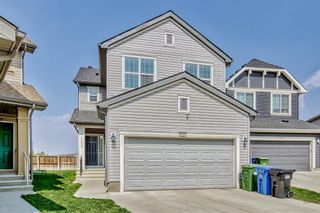 Photo 1: 151 Martha's Meadow Close NE in Calgary: Martindale Detached for sale : MLS®# A2052530