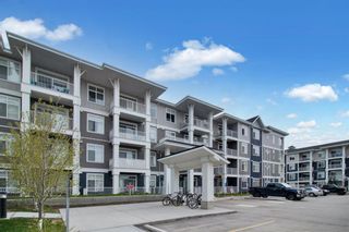 Photo 35: 210 300 Auburn Meadows Common SE in Calgary: Auburn Bay Apartment for sale : MLS®# A2131157